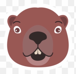 Beaver Head Tooth Flat Sticker - Transparent Png U0026 Svg Cartoon,Beaver Png