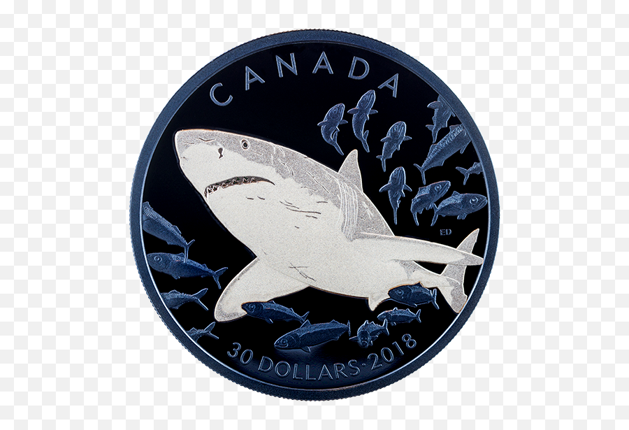 Great White Shark - Mintage 3500 2018 Canadian Mint Shark Coin Png,Great White Shark Png