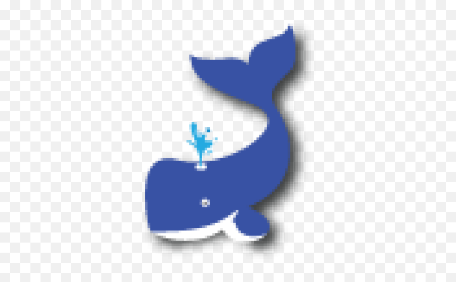 Cropped - Willythewhalepng U2013 Whaleu0027s Tale Waterpark Oceanic Dolphin,Blue Whale Png
