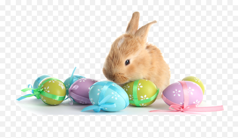 Easter Bunny With Eggs Png Transparent - Easter Bunny And Eggs Png,Easter Eggs Transparent Background
