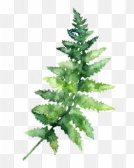 Leaf Hd Png Transparent Image - Leaves Watercolor