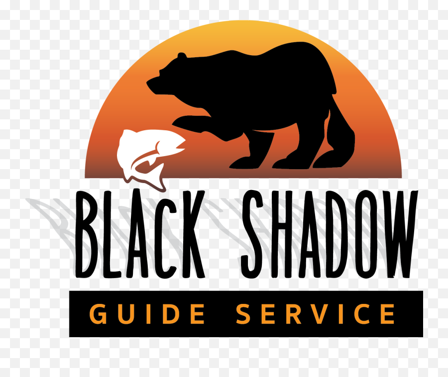 Bear Shadow Download Free Clipart With - Kodiak Bear Png,D20 Transparent Background