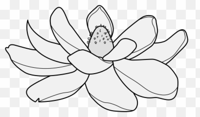 Magnolia - Traceable Heraldic Art Language Png,Magnolia Png