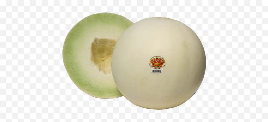 Turlock Fruit - Galia Melon Png,Honeydew Png