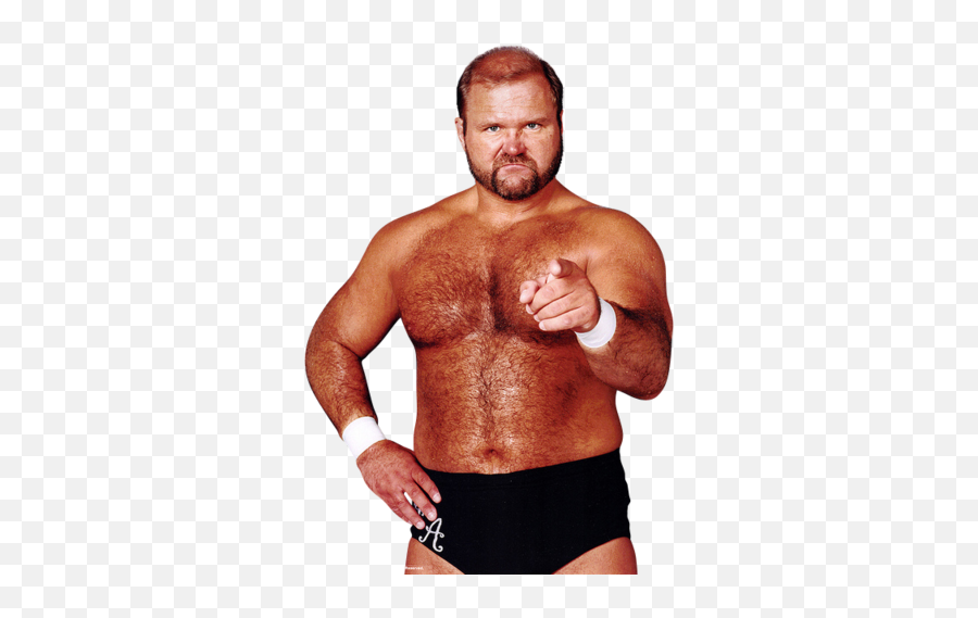 Why Didnt Arn Anderson Get A Run Of - Arn Anderson Png,Wwe Layla Icon
