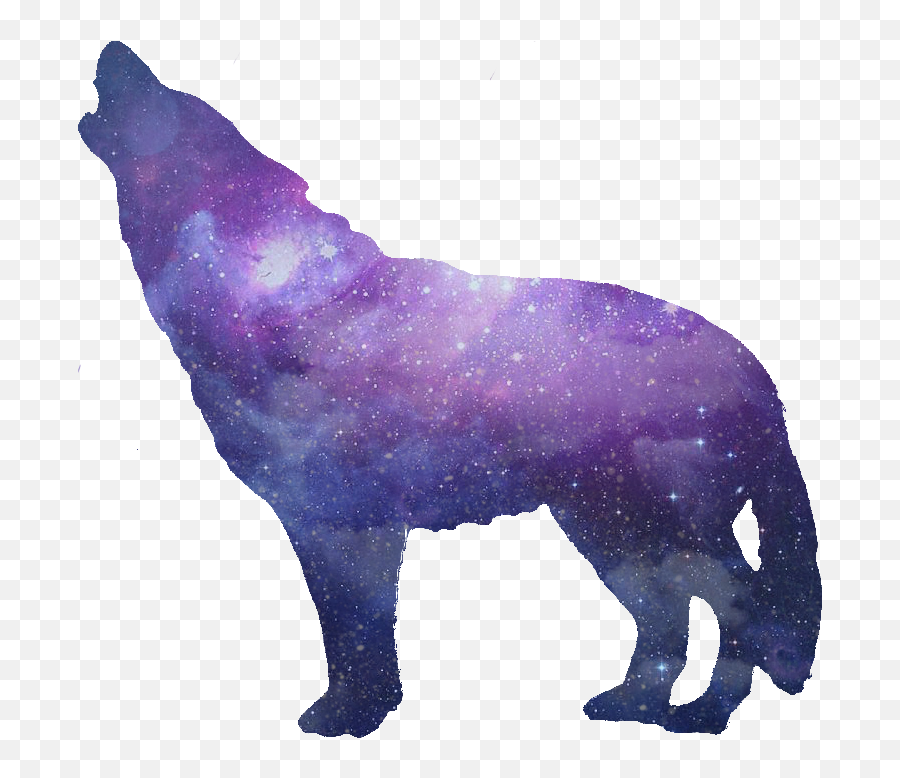 Wolves Transparent Tumblr Picture - Wolf Png,Wolves Png