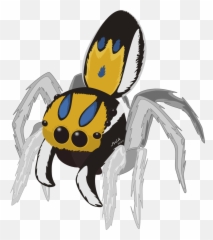 Jumping Spider Png Transparent Image Arts - Clip