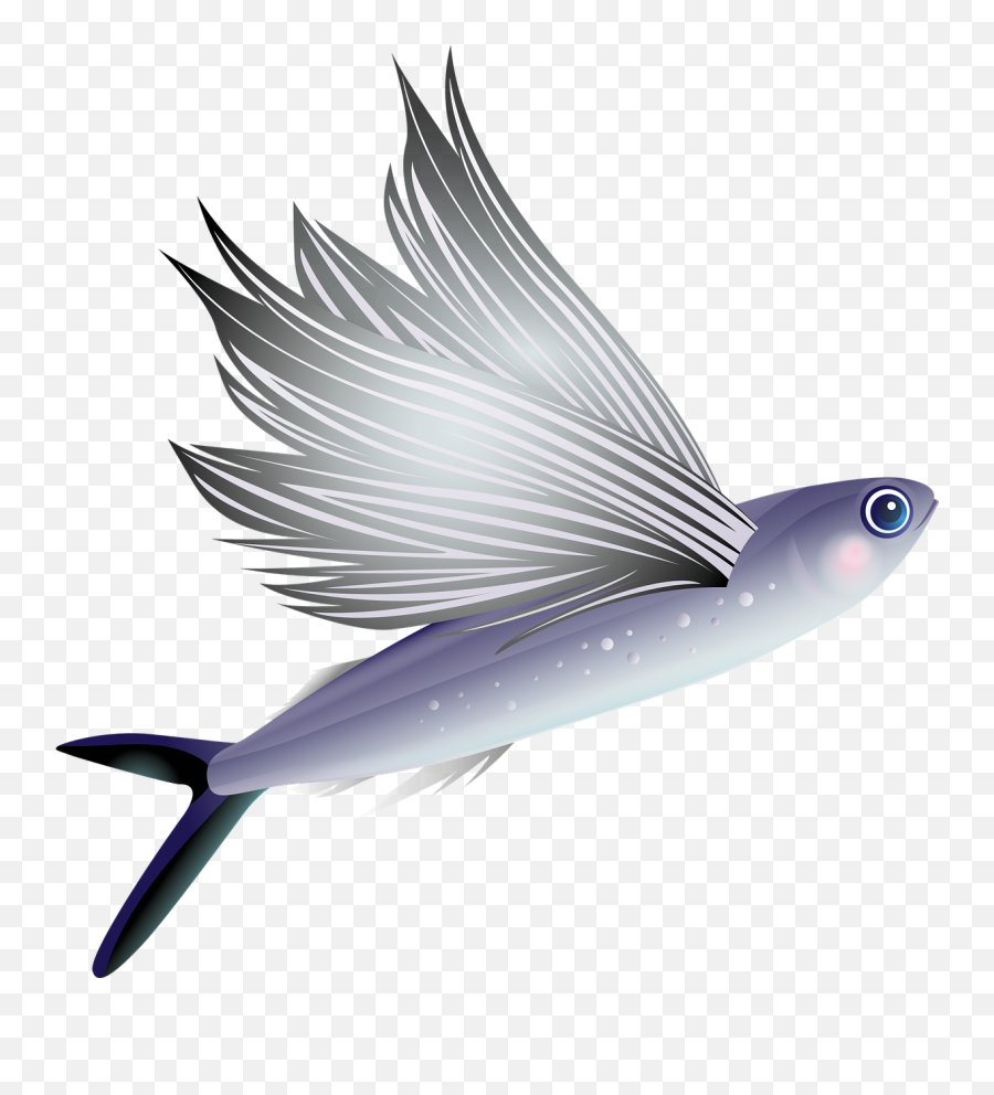 Flying Fish Aquarium Tropical - Free Vector Graphic On Pixabay Flying Fish Transparent Background Png,Fish Png