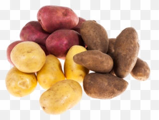 Potato Salad - Russet Burbank Potato Png,Potato Salad Png