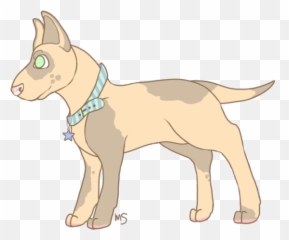 Gambit - Mountain Hearts Companion Dog Png,Gambit Png