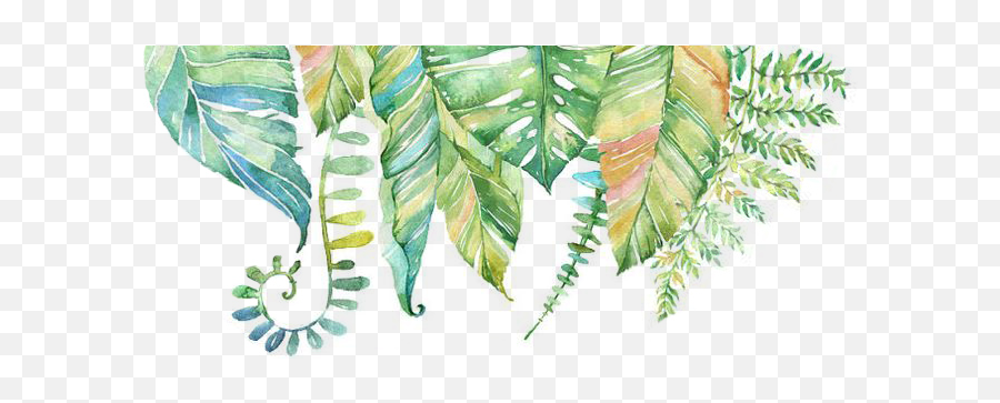 Border Design - Amani Guest Lodge Tropical Leaves Alphabet Theme Png,Paint Border Png