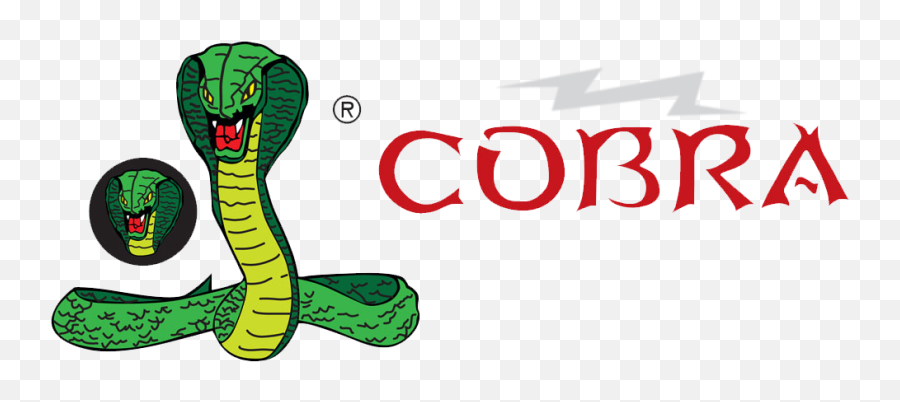 Logo - Cobra Di Blasio Elio Di Blasio Elio Png,Cobra Png