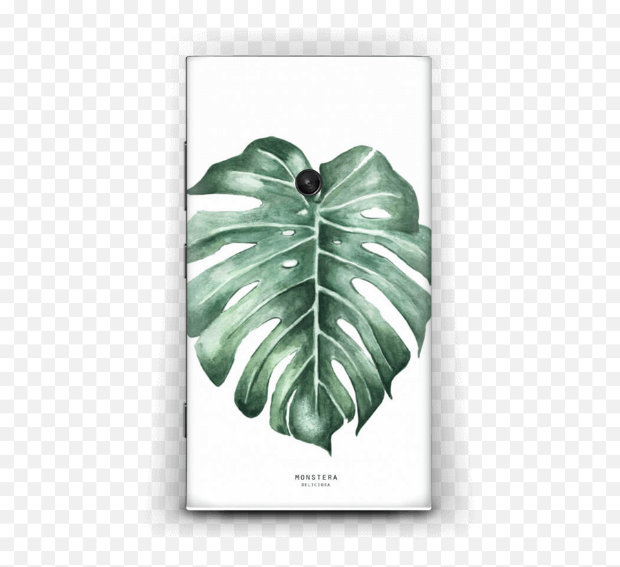 Monstera Deliciosa - Nokia Lumia 920 Skin Watercolour Monster Leaf Png,Monstera Leaf Png