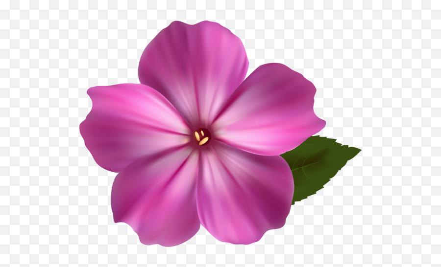 Pink Flower Png Clipart Image En 2020 - Realistic Flower Clip Art,Paper Flower Png