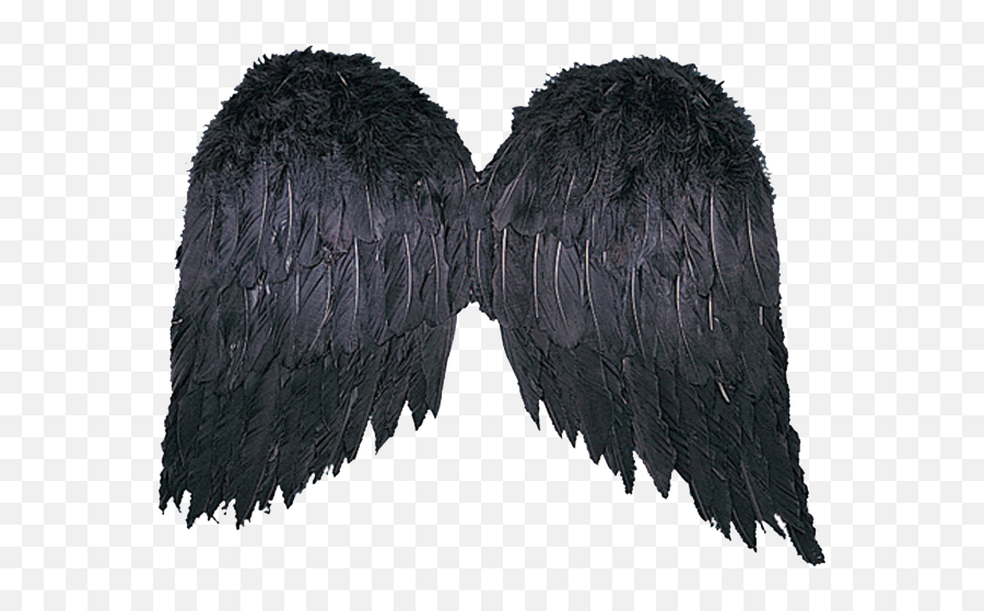 Download Angel Wings Hd Png - Uokplrs Lace Wig,Angel Wing Png