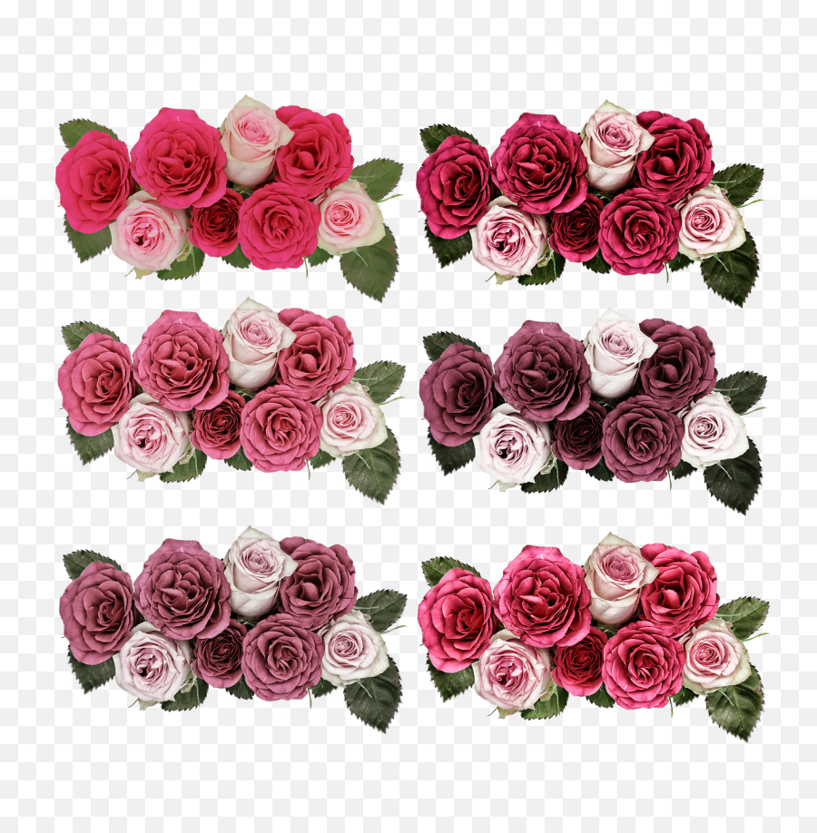 Download Hd Rosesflowersrose - Png Jardim De Flores Portable Network Graphics,Roses Png