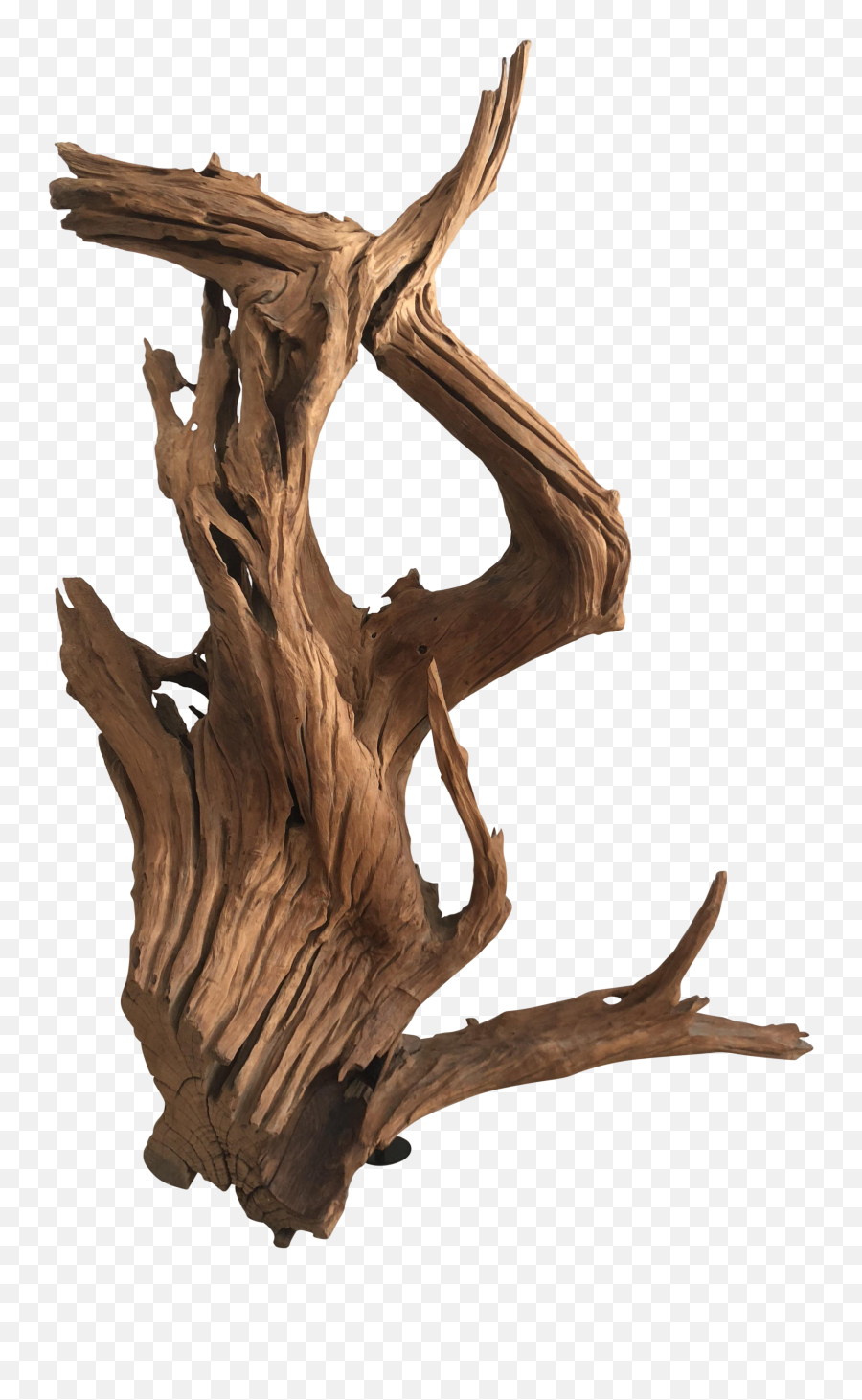 Teak Driftwood Sculpture - Twig Png,Driftwood Png
