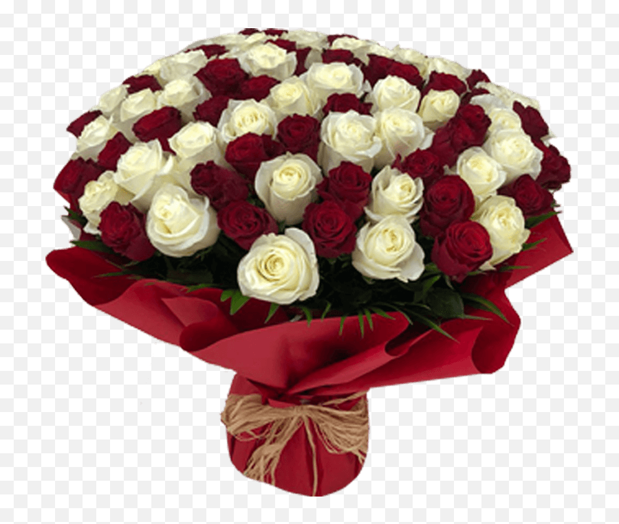 Red White Rose Bouquet 50 - Lovely Png,White Rose Transparent