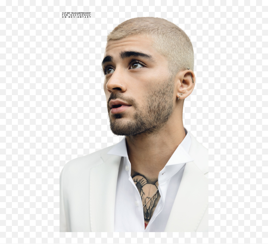 Zayn Malik Dusk Till Dawn - Zayn Gq Png,Zayn Malik Png