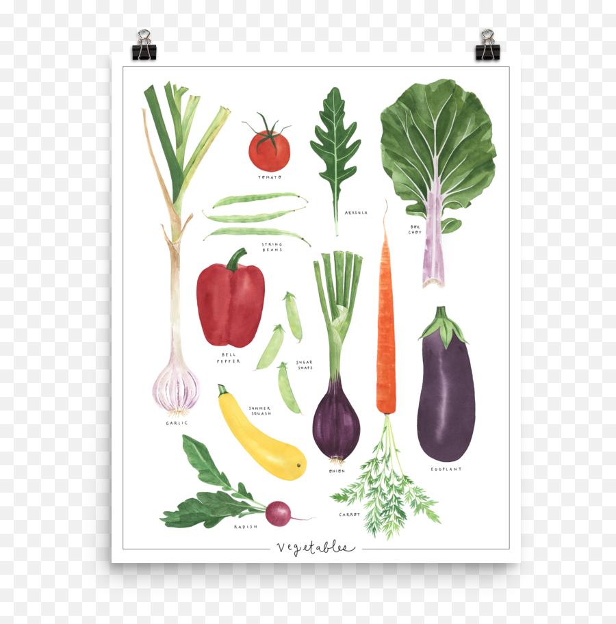 May We Fly U2014 Vegetables - Superfood Png,Vegetables Transparent
