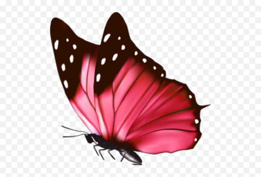 Pink Butterfly - Floating Butterfly Transparent Cartoon Transparent Red Butterfly Png,Pink Butterfly Png