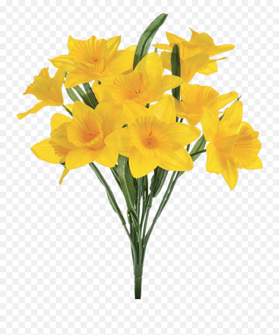 Artificial Daffodils Transparent Png - Transparent Background Daffodil Transparent,Daffodil Png