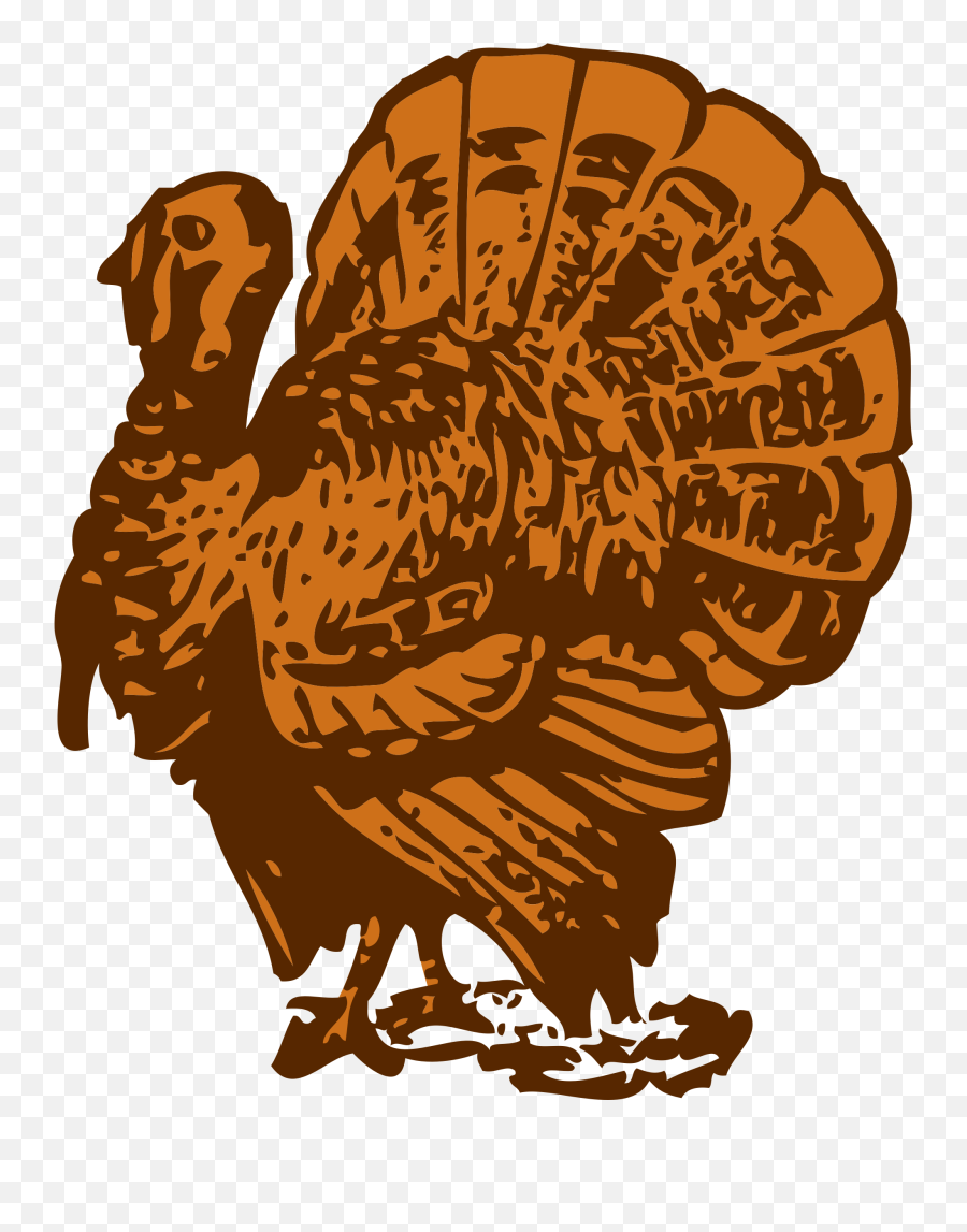 Png - Turkey Vector Art,Dinner Png