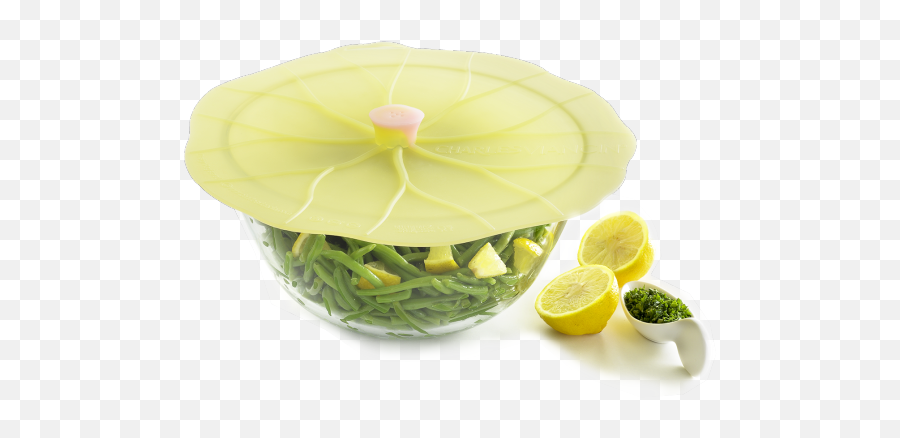 Download Lily Pad Lid - Full Size Png Image Pngkit Key Lime,Lily Pad Png