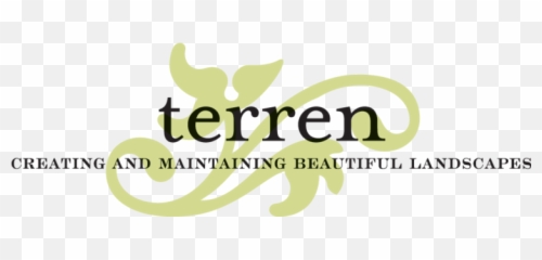 Boxwood Blight Update - February 2017 U2014 Terren Landscapes Butterfield And Robinson Png,Boxwood Png