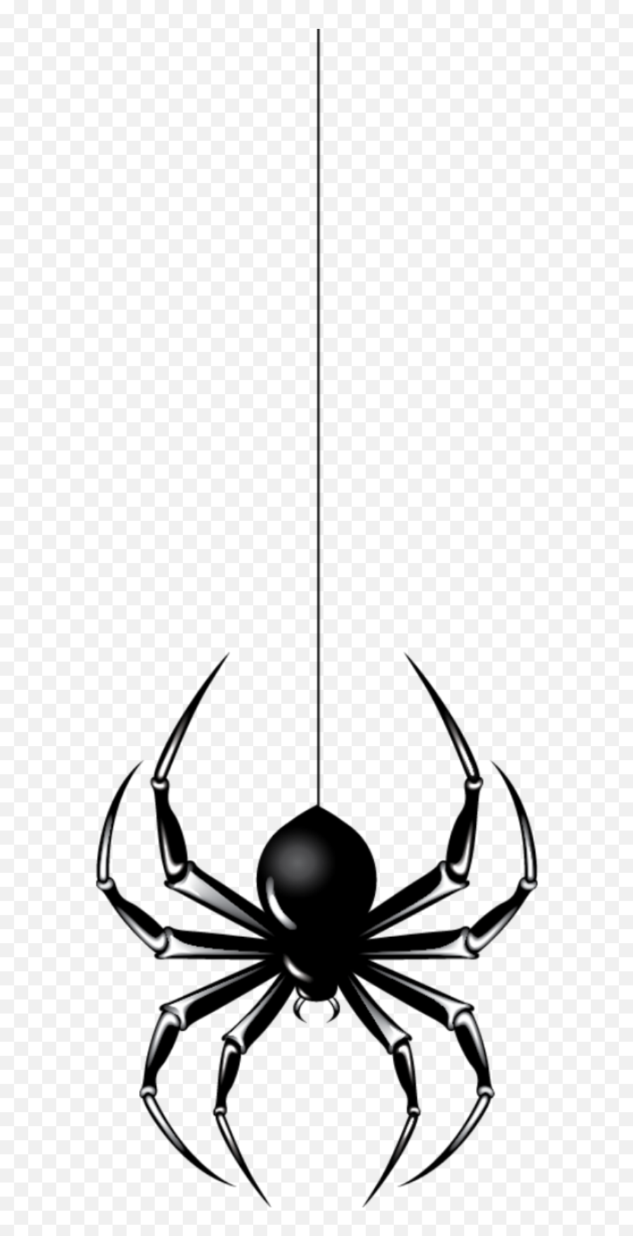 Download Hanging Spider Hq Png Image - Vertical,Hanging Spider Png
