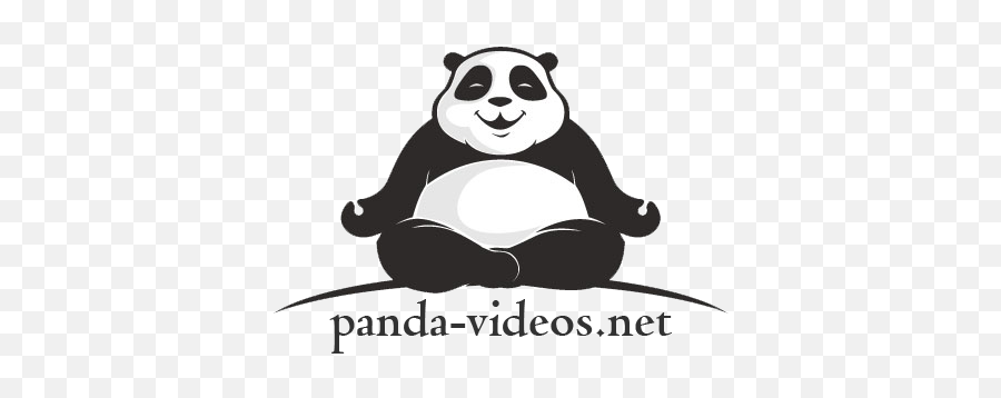 Panda Fighting Real Kung Fu Style - Funny Panda Logo Png,Kung Fu Panda Logo