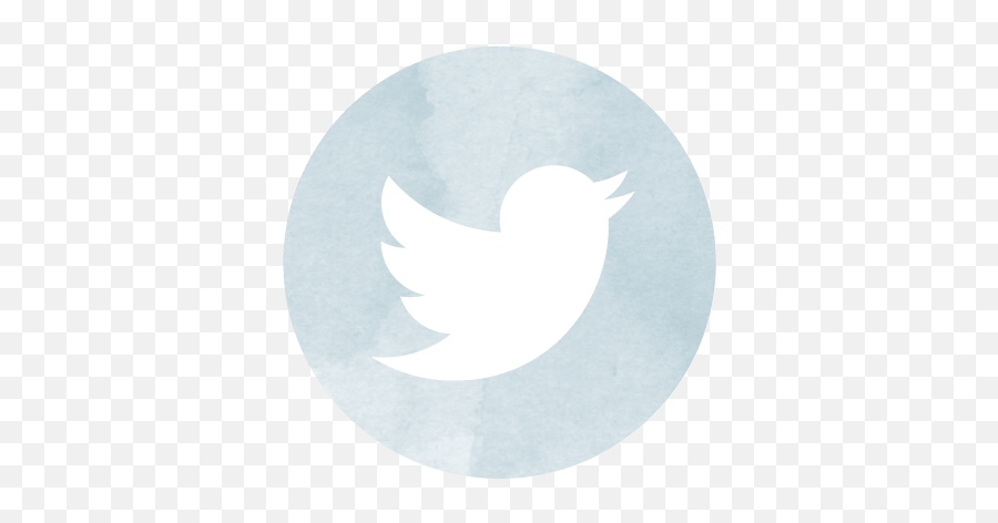 Twitter Widget App Icon Iphone - Twitter Vintage Png,Who Is The Icon