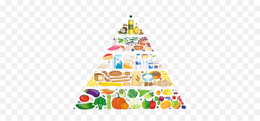 Free Grain Wheat Vectors - Food Pyramid Png,My Plate Replaced The Food Pyramid As The New Icon