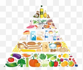 Free Grain Wheat Vectors - Food Pyramid png