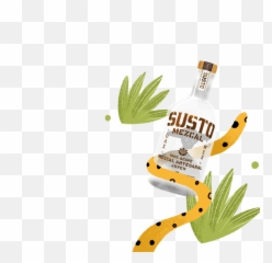 Susto Mezcal Three Reasons Is Different Than Tequila - Language png