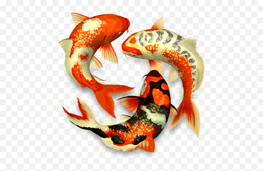 Koi Pond 3d App For Iphone - Free Download Koi Pond 3d For Colorful Koi Fish Png,3d Icon For Android