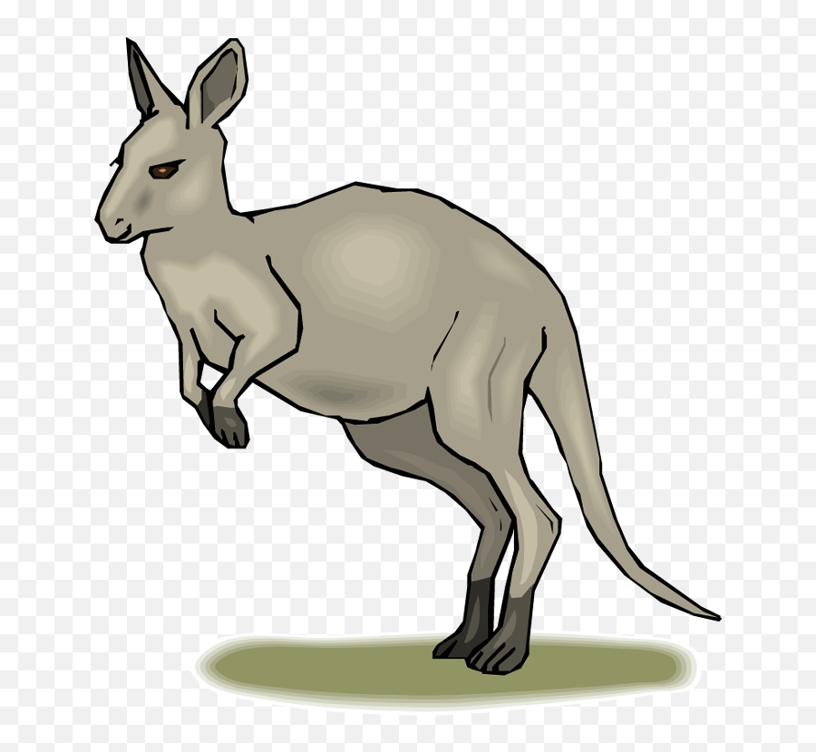 Free Kangaroo Transparent Download Clip Art - Animated Pic Of Kangaroo Png,Kangaroo Transparent Background