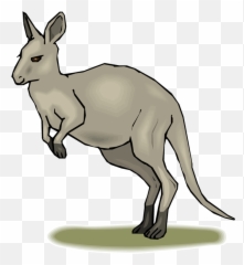 Free Kangaroo Transparent Download Clip Art - Animated Pic Of Kangaroo Png,Kangaroo Transparent Background