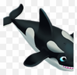 Orca - Killer Whale Png,Orca Png