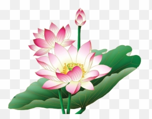 Lotus Clip Art - Lotus Flower Images Hd Png,Lotus Png