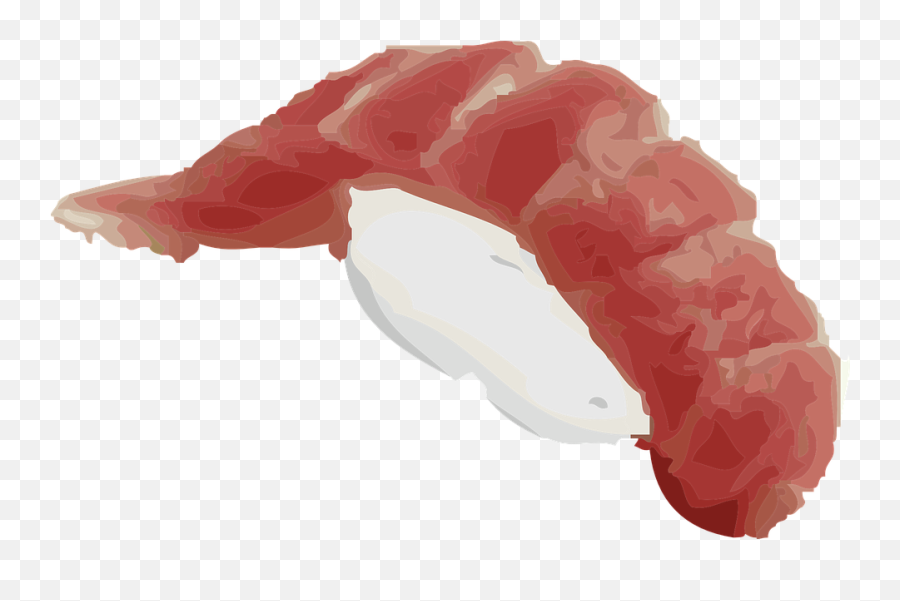 Sushi Japanese Food - Free Vector Graphic On Pixabay Beef Sushi Vector Png,Sushi Transparent