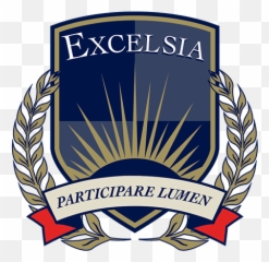 Cropped - Excelsia College Png