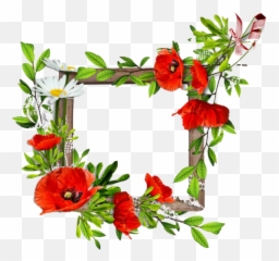 Poppy Flower Frame Png Clipart - Png Latest Flower Background,Poppy Png