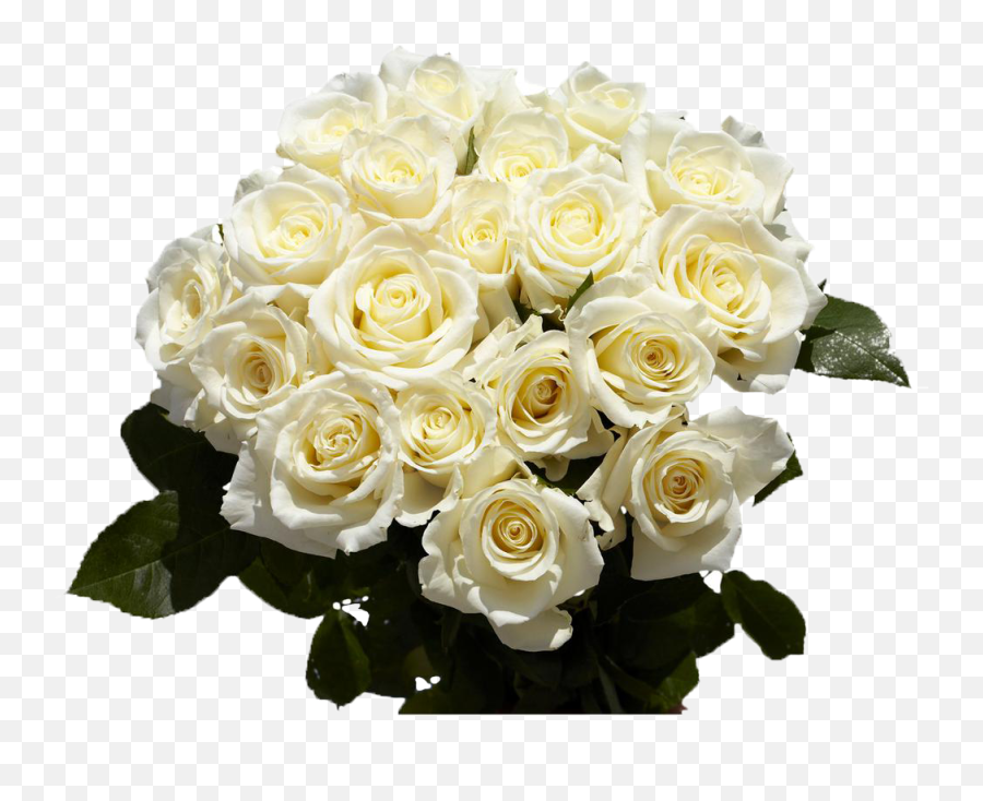 White Roses Free Png - La Multi Ani Flori,White Roses Png