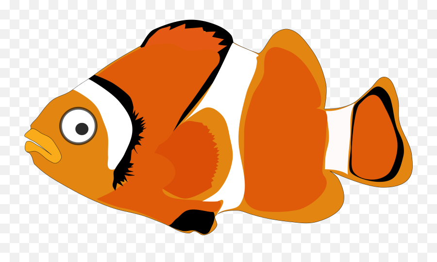 Fish Cartoon Watercolor Painting - Cartoon Fish Png Clipart Cartoon Clownfish Png,Koi Fish Png