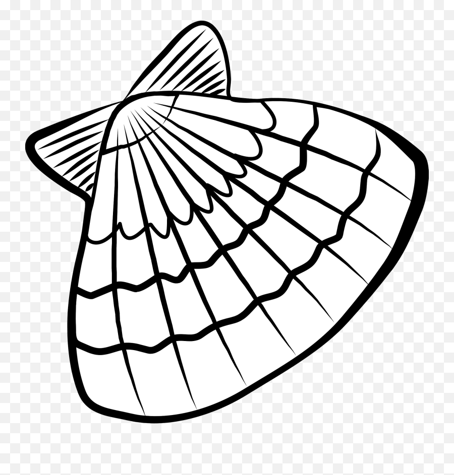 Bay Scallop Seashell Clipart Free Download Transparent Png - Sea Shells Clip Art,Seashell Transparent