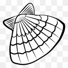 Bay Scallop Seashell Clipart Free Download Transparent Png - Sea Shells Clip Art,Seashell Transparent