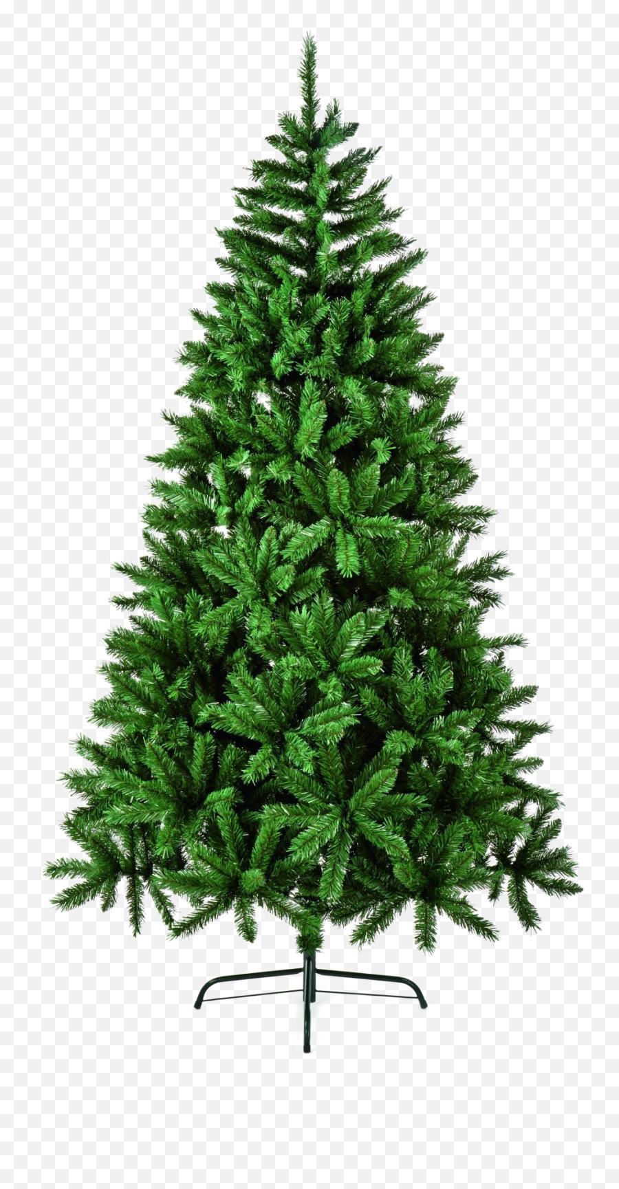 Fir - Tree Download Png Image Png Arts Nordic Fir Tree,Pine Tree Branch Png