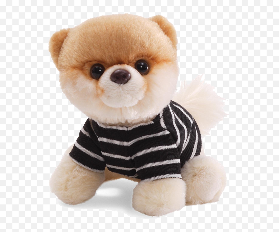 Download Boo Dog Transparent Background - Boo The Cutest Dog Plush Png,Boo Png
