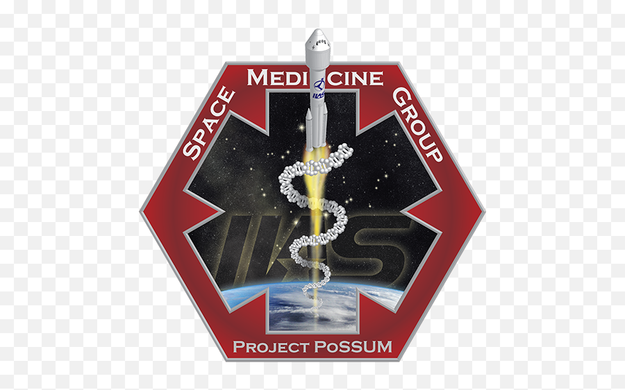 Project Possum Space Medicine Group To Hold - Space Medicine Png,Possum Png